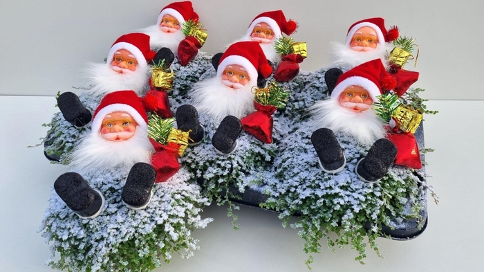 <h4>SOLEI SOL GROEN</h4>