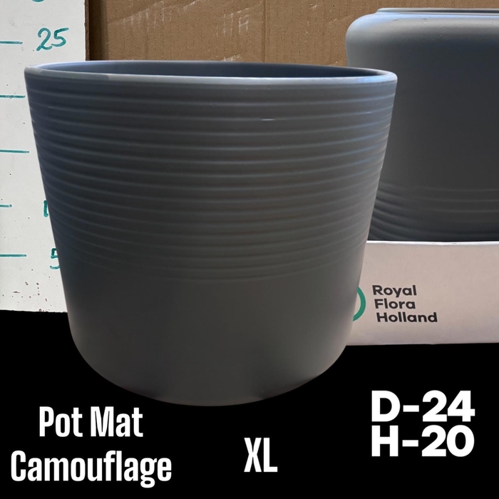<h4>POT H%</h4>