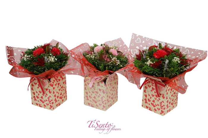 <h4>Droogbloemen bewerkt H%</h4>