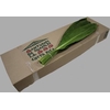 Leaf cordyline green tie