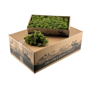 Ijslandsmos Mosgroen