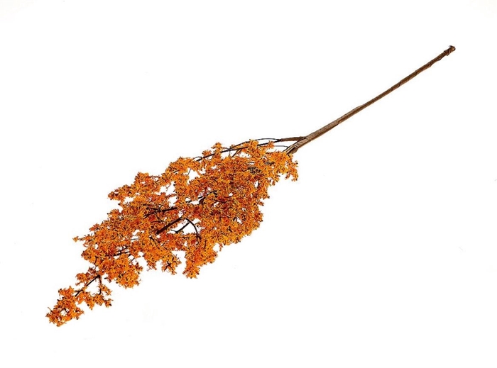<h4>Deco Stem Yellow Moss 50gr L75</h4>