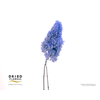Dried Bleached Hydrangea Tower Dark Green XXL
