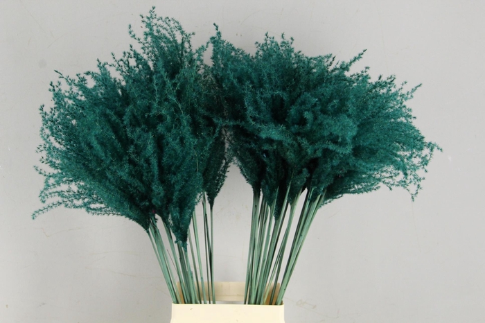 <h4>DF Miscanthus 90cm D.Green</h4>