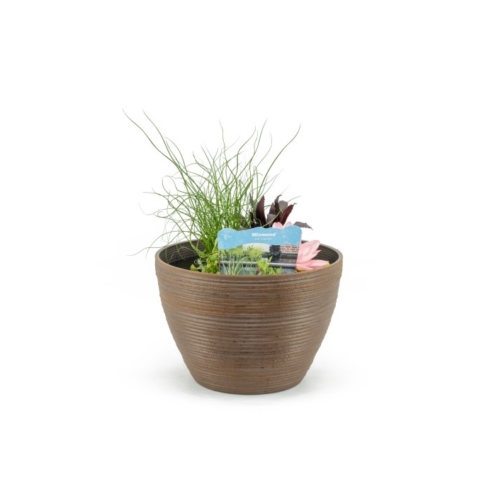 <h4>Terrasv de luxe roest inc. mand</h4>
