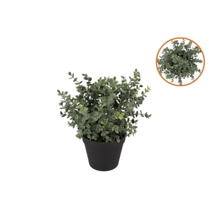Silk Eucalyptus Green In Pot S 18x18x19cm