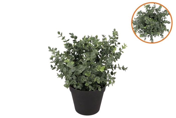 <h4>Silk Eucalyptus Green In Pot S 18x18x19cm</h4>