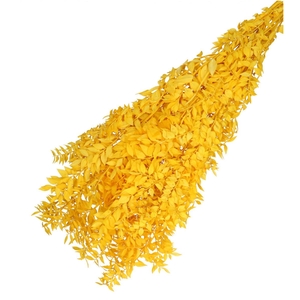 Dried flowers Ruscus 65cm 110g