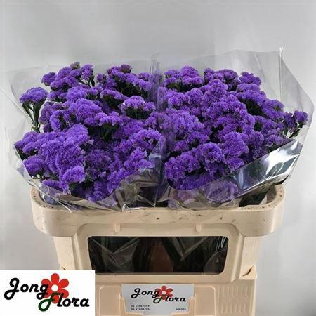 <h4>Lim S Crystal Dark Blue</h4>