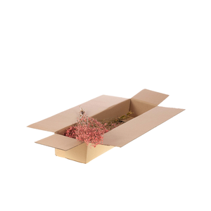 Gypsophila Sb Pink