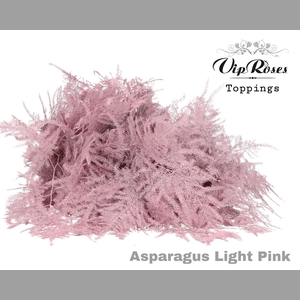 ASP OV EXTRA VEREN LIGHT PINK