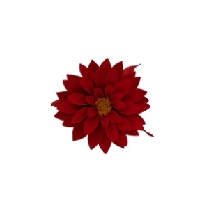 Dahlia red-02