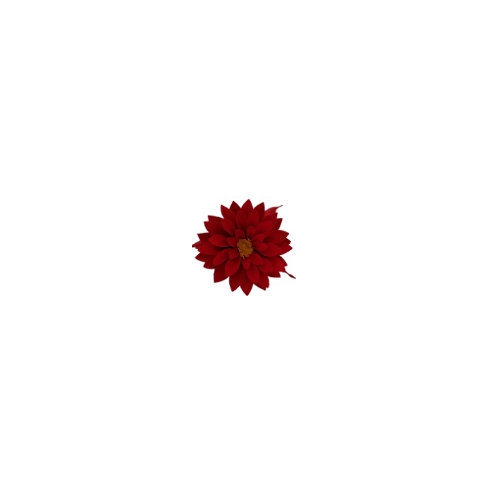 <h4>Dahlia red-02</h4>