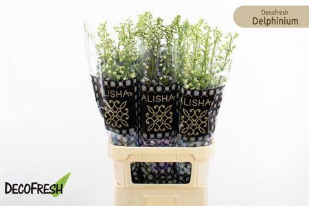 <h4>Delph Du Gem Fust</h4>