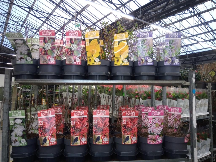 <h4>Heesters   ...mix          [Scrubs]</h4>