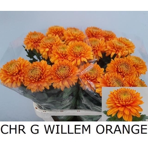 CHR G WILLEM ORANGE