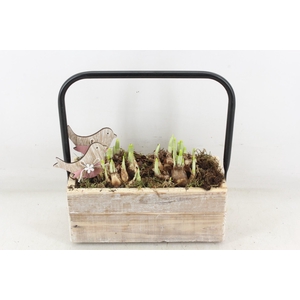 arr4 Narcis JS - Hout rechth. hengsel