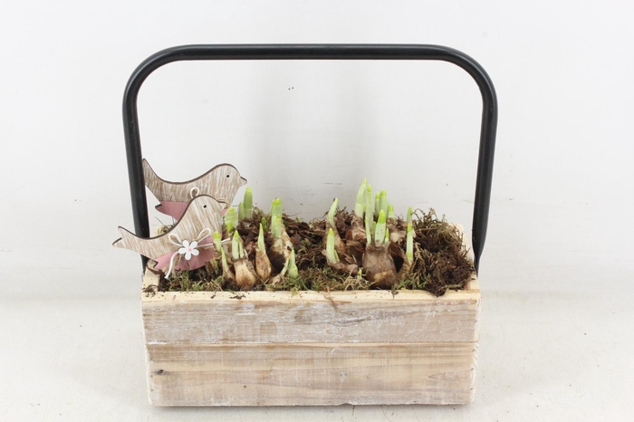 <h4>arr4 Narcis JS - Hout rechth. hengsel</h4>