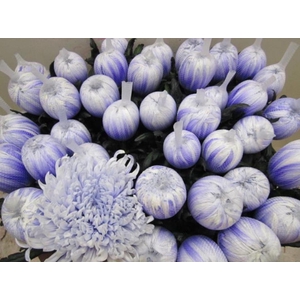 Chr G Tutu Pastel Lilac