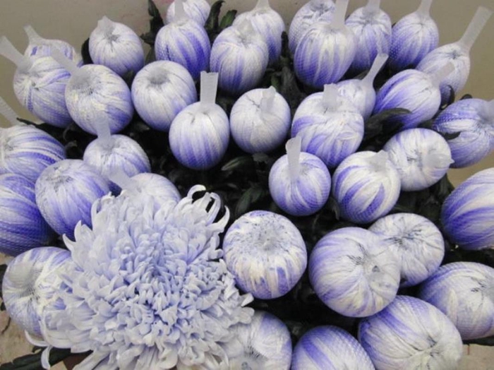 <h4>Chr G Tutu Pastel Lilac</h4>