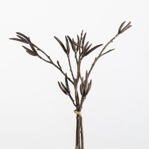 AF Alder Bundle 3pcs L45cm Br