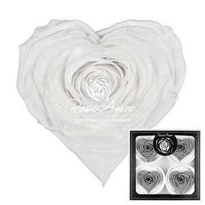 Corazon Bella Whi01