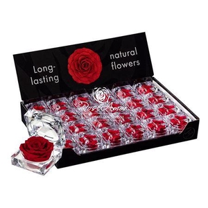Display Jewel Red01