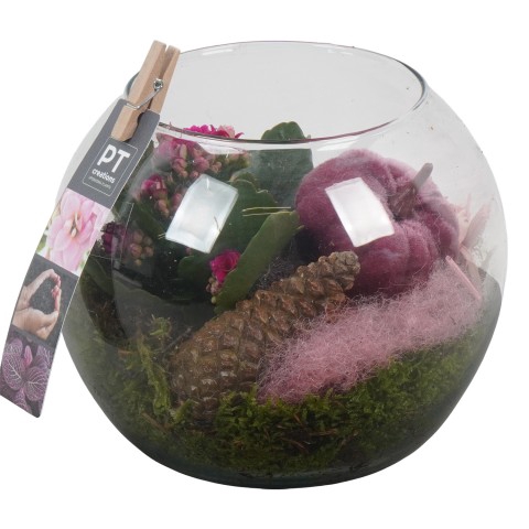 <h4>PTHG3377 Arrangementen kamerplanten</h4>