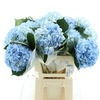 Hydr M Arctic Blue Premium 60-18