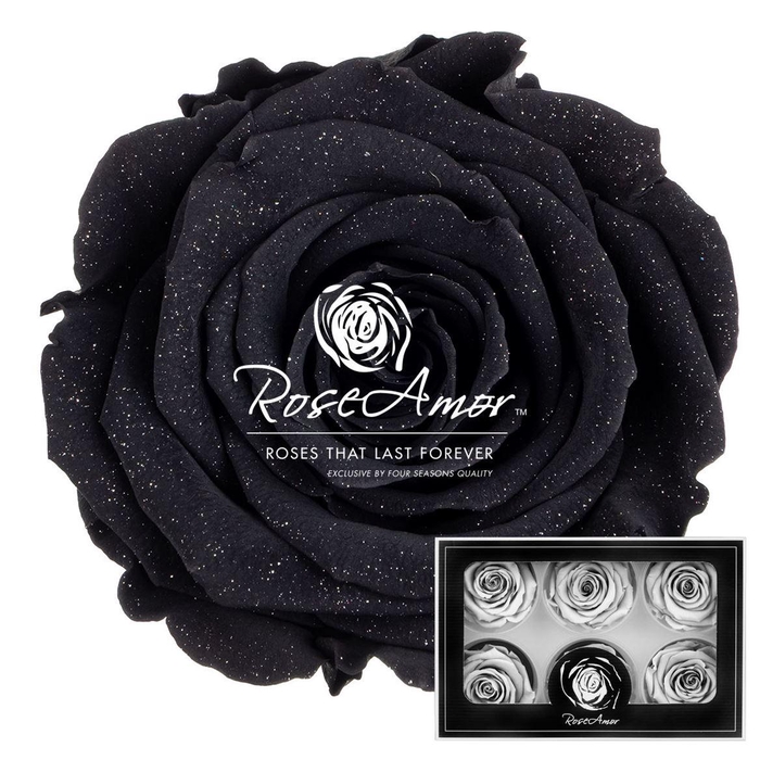 <h4>Lplus Diamond Dust Bla01</h4>