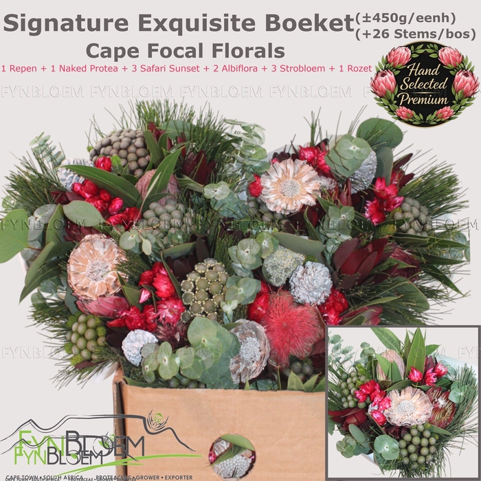 <h4>PROTEA PER BOS</h4>