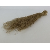 Dried Munni Grass Natural Bunch Slv
