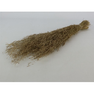 Bunch Munni Grass Slv L60