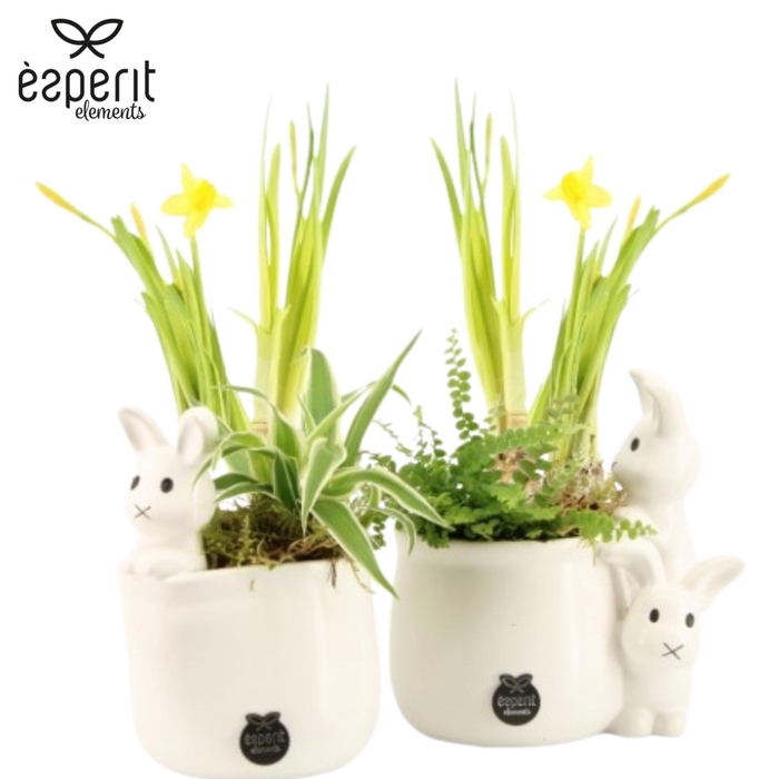 <h4>70826: Easter arrangement</h4>