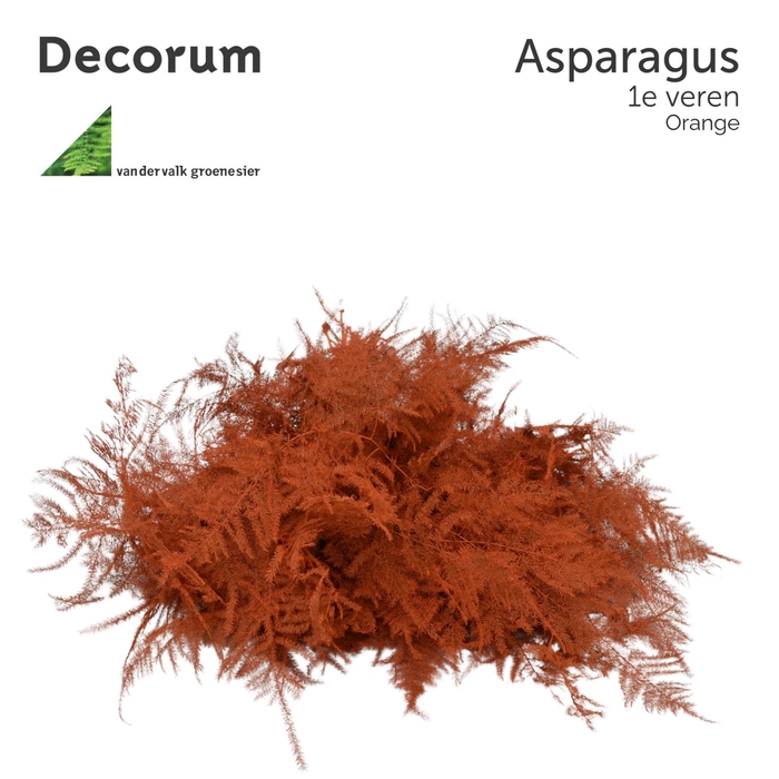 <h4>Asp 1e Veren Orange 45cm Box X50</h4>