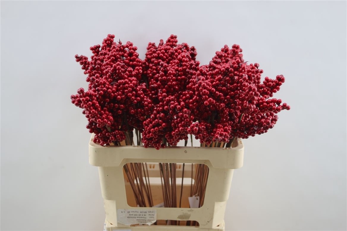 <h4>Berries Small Shiny Red</h4>