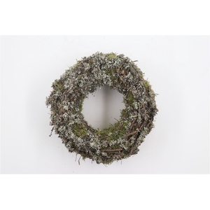 Wr Larix Half 30cm