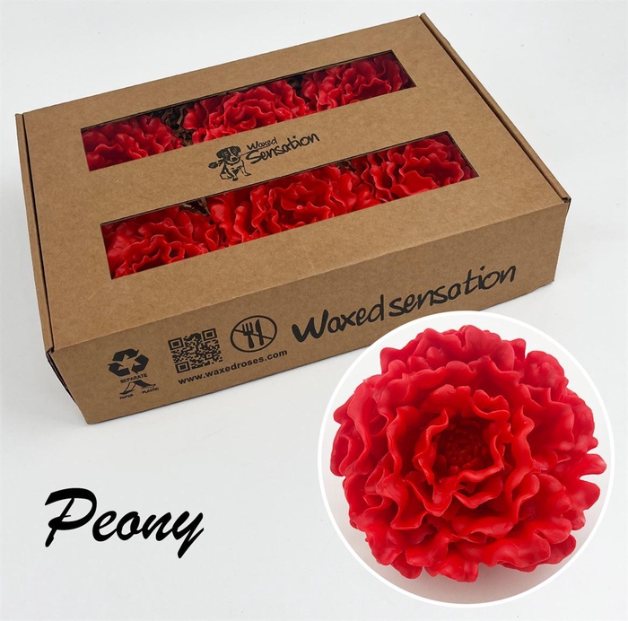 <h4>Zijde Pioen Wx Rood</h4>
