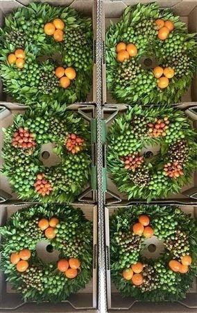 <h4>SIERFRUIT KRANS H%</h4>