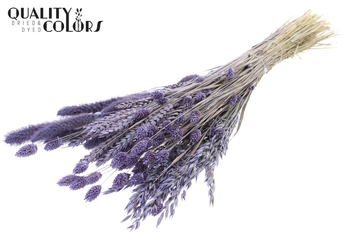 <h4>Dried Flower mix bunch Frosted Milka</h4>