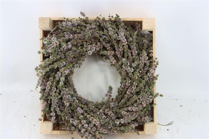 <h4>Wr Polei Naturel 30cm</h4>