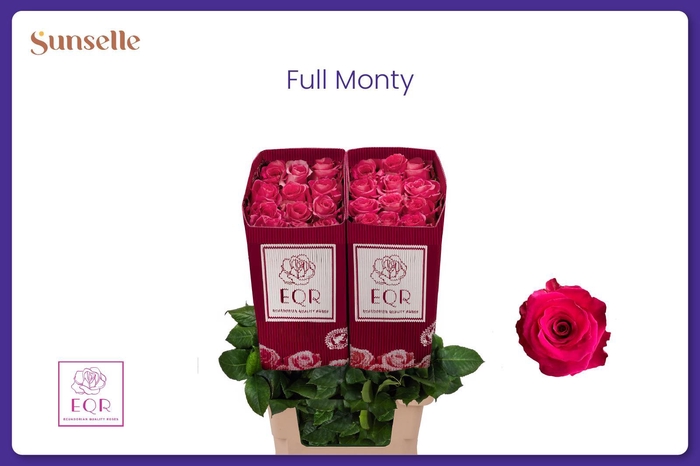 <h4>R GR FULL MONTY!</h4>