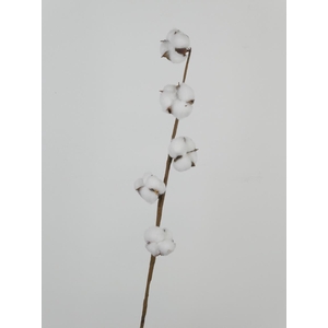 AF Cotton White 65cm 5 Balls