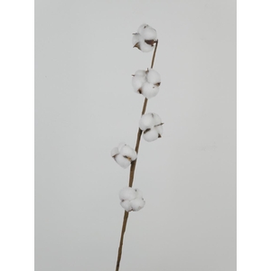 AF Cotton White 65cm 5 Balls