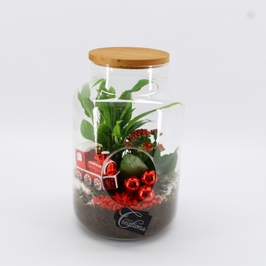 XMAS-24009 Kerst creatie terrarium