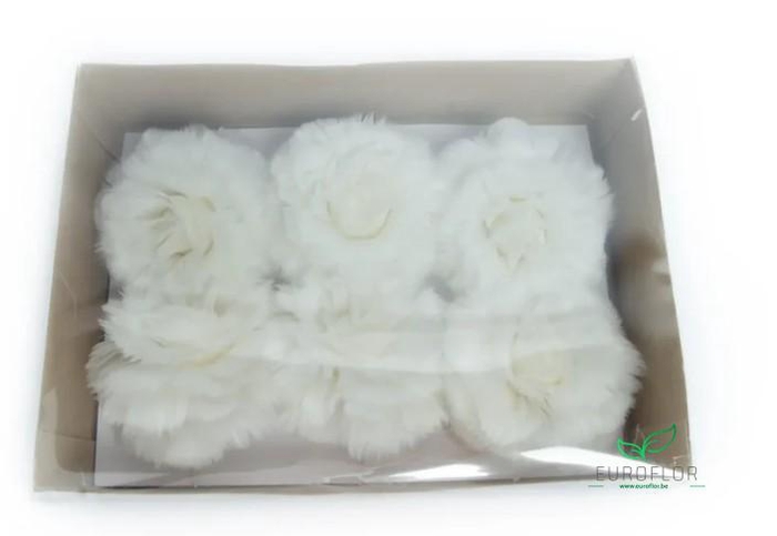 ROZEN VEREN ON WIRE BLEACHED 6PCS
