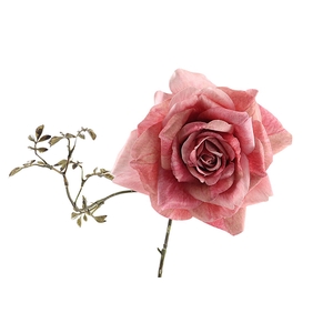 Rosa Spray Pink