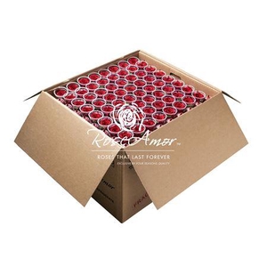 Xl Bulk Red02