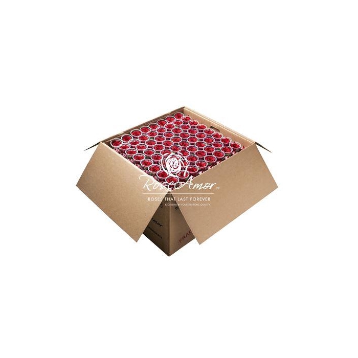 <h4>Xl Bulk Red02</h4>