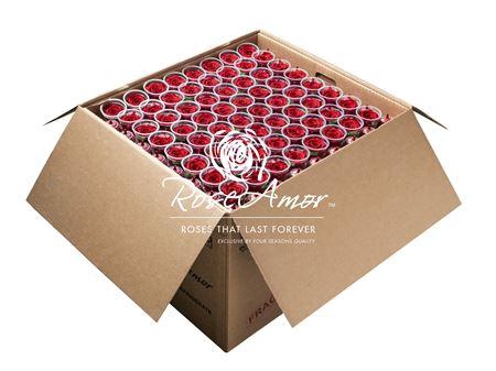 Xl Bulk Red02